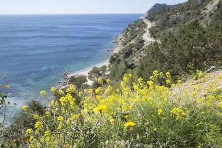 Ullastre Beach, Es Cubells; Ibiza; Spain