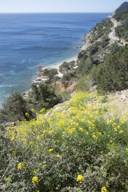 ullastre-beach-es-cubells-ibiza-spain-622372361 Ullastre Beach, Es Cubells; Ibiza; Spain