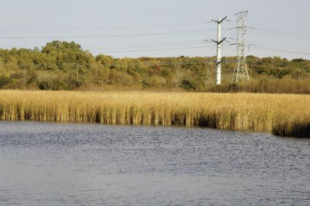 Environmental landscape in mid October, with lake and reeds in foreground and transmission towers in forest preserve in northern Illinois
