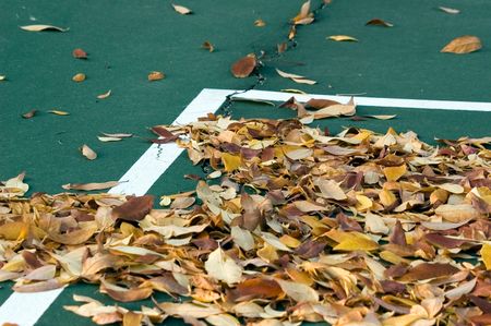Leaves on tennis court