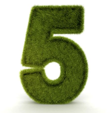 Number five in 3D and grass texture - isolated over white