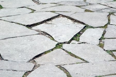 Paving stones along a path on university campus