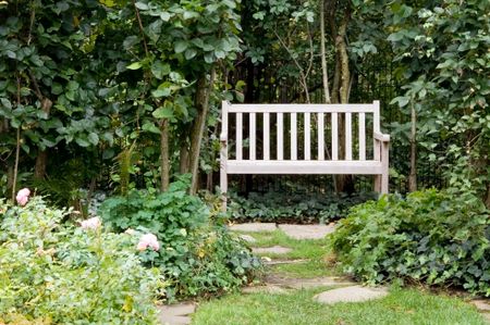 Bench in a garden