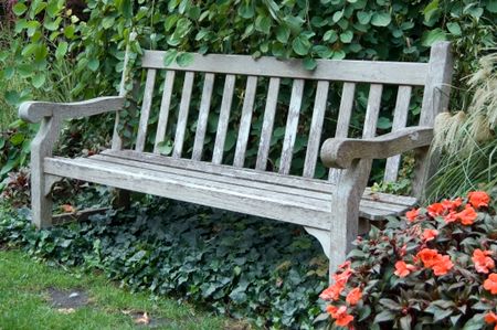 Side view of bench in garden