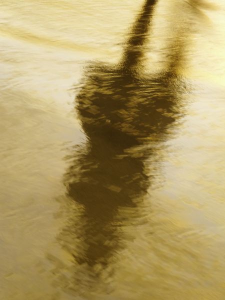 Silhouette of unidentifiable person reflected on wet sandy beach near sunset