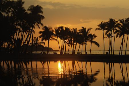 Hawaiian scenic: silhouettes of beachergoers and palm trees minutes before sunset at Anaehoomalu Bay on the Kona Coast of the Big Island