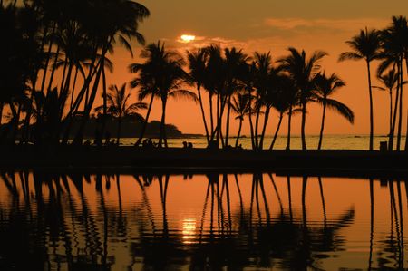 Polynesian idyll: silhouettes of beachgoers and palm trees shortly before sunset at Anaehoomalu Bay on the Kona Coast of the Big Island