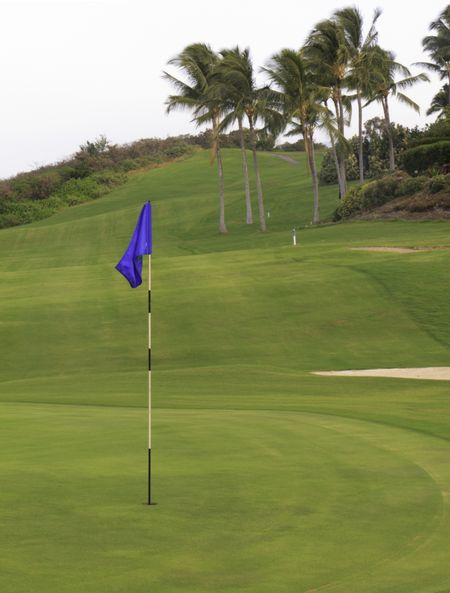 Putting green with flagstick at end of downhill fairway on Big Island golf course (focus on blue flag)