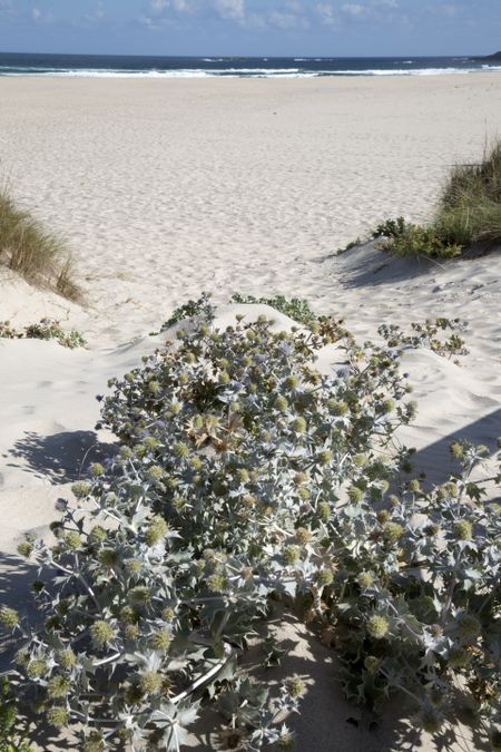 Beach at Laxe; Galicia; Spain