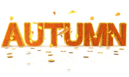 3D Word Autumn in orange grass texture with leaves around - isolated
