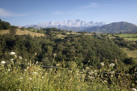 Picos de Europa Mountain Range outside Labra; Spain