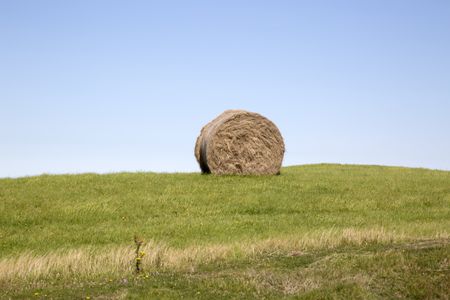 Stack of Hay in Field, Anglesey; Wales; UK