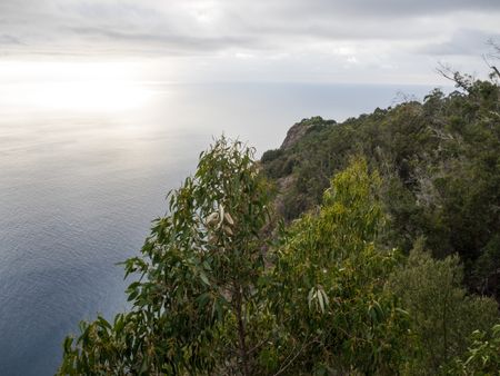 the portugese Island madeira