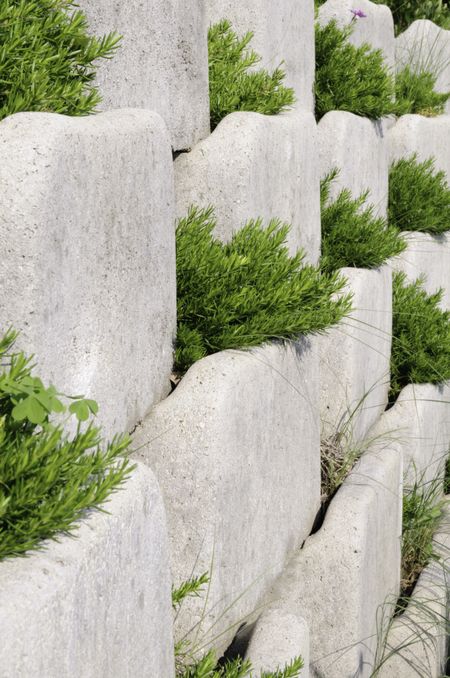 Garden retaining wall of white landscaping blocks with greenery at interstices