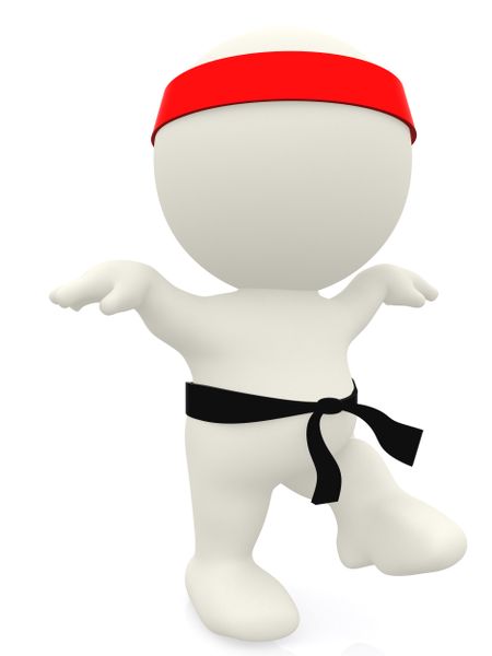 3D karate expert - isolated over a white background