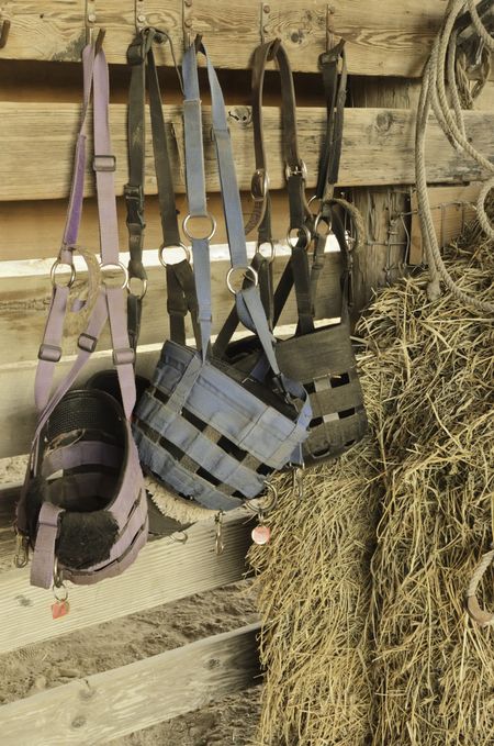 Feed bags of canvas and leather in horse stable