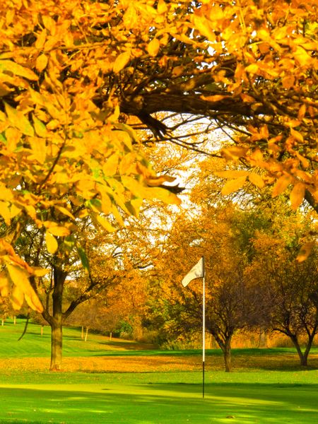 Golf course in autumn: Putting green surrounded by fall color (focus on flag)