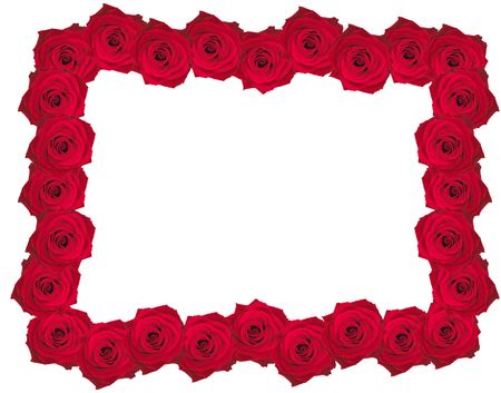 frame made out of roses - big res