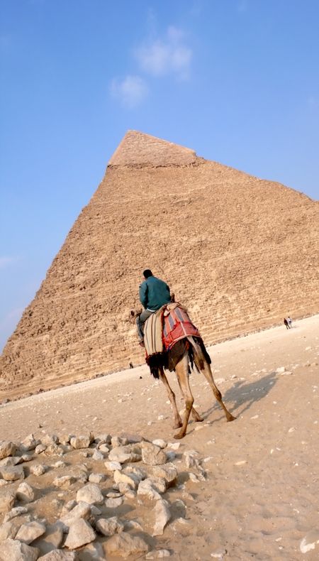 gizah pyramid in Egypt near Cairo with a camel in the foreground