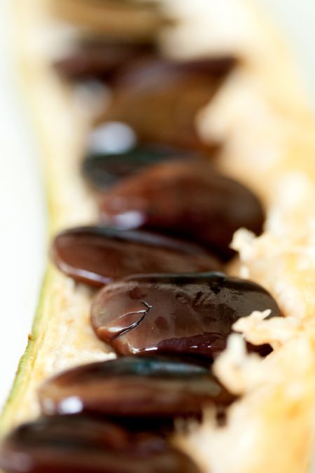 Seeds of a tropical fruit - Close up