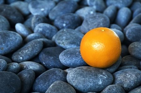 Orange on smooth rocks