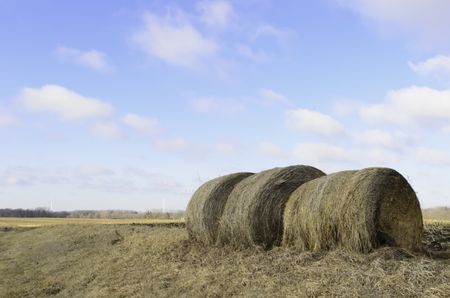 Agricultural landscape: Three bales of hay in foreground, wind turbines on horizon, on a mild winter morning in northern Illinois