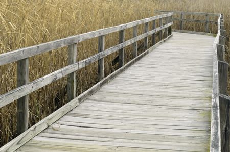 Boardwalk across coastal marsh in Virginia