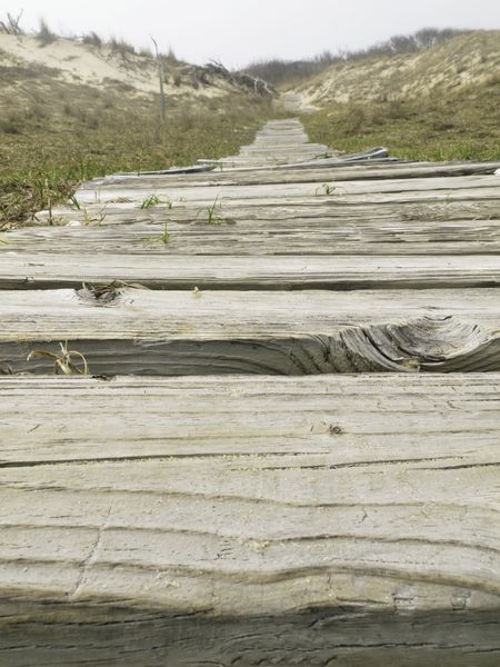 Boardwalk across dunes, low angle view, at Back Bay National Wildlife Refuge, Virginia Beach, USA