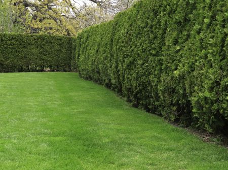 Corner of formal garden in spring, northern Illinois